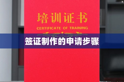 保山签证制作的申请步骤