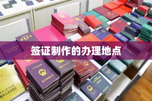 保山签证制作的办理地点