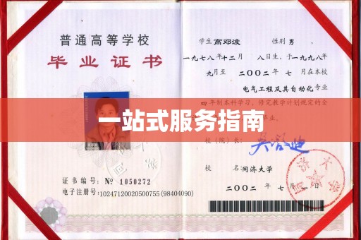 保山一站式服务指南