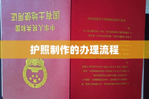 保山护照制作的办理流程