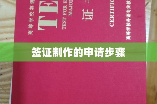 保山签证制作的申请步骤