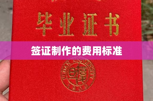保山签证制作的费用标准