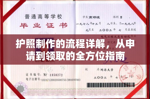 保山护照制作的流程详解，从申请到领取的全方位指南