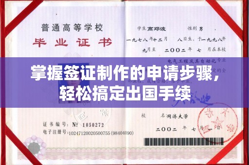 保山掌握签证制作的申请步骤，轻松搞定出国手续