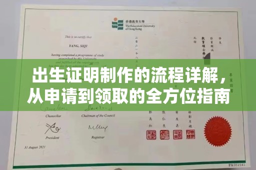 保山出生证明制作的流程详解，从申请到领取的全方位指南