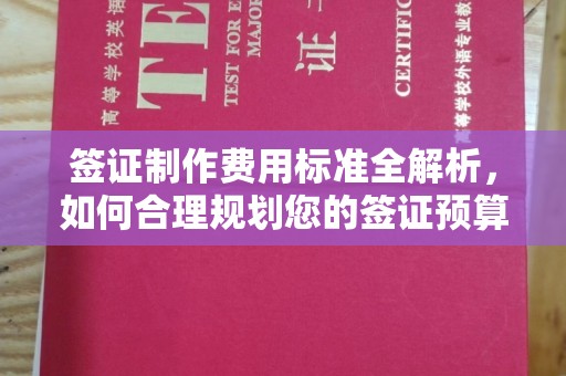 保山签证制作费用标准全解析，如何合理规划您的签证预算？