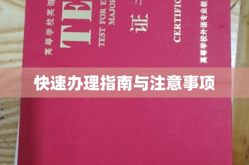 保山快速办理指南与注意事项